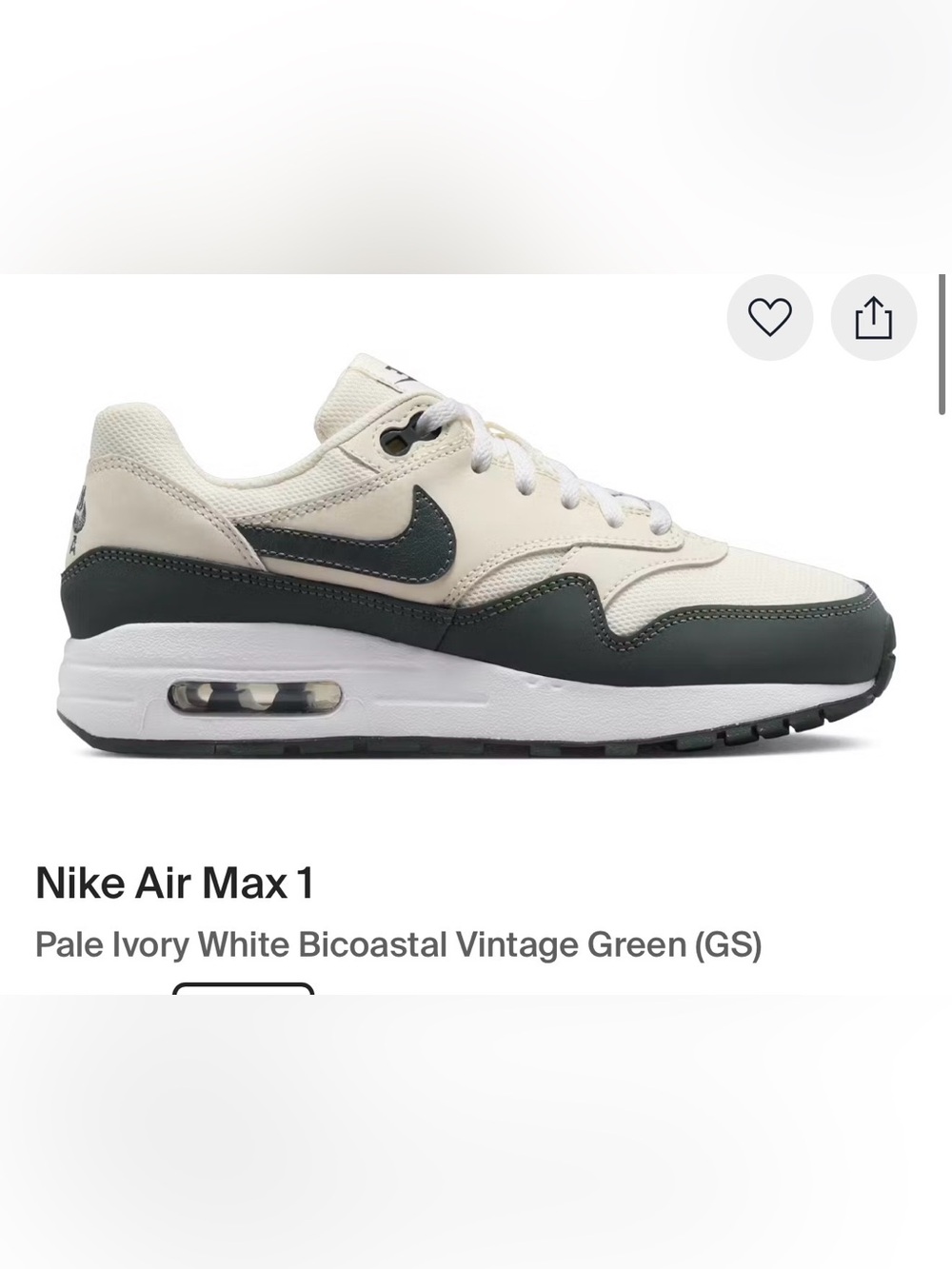 Nike Air Max 1 Youth 2.5